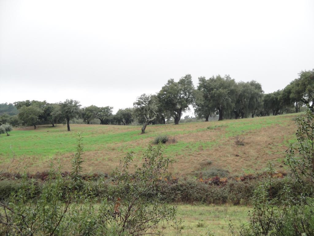 Casa Rural Sierra San Mamede La Codosera Esterno foto