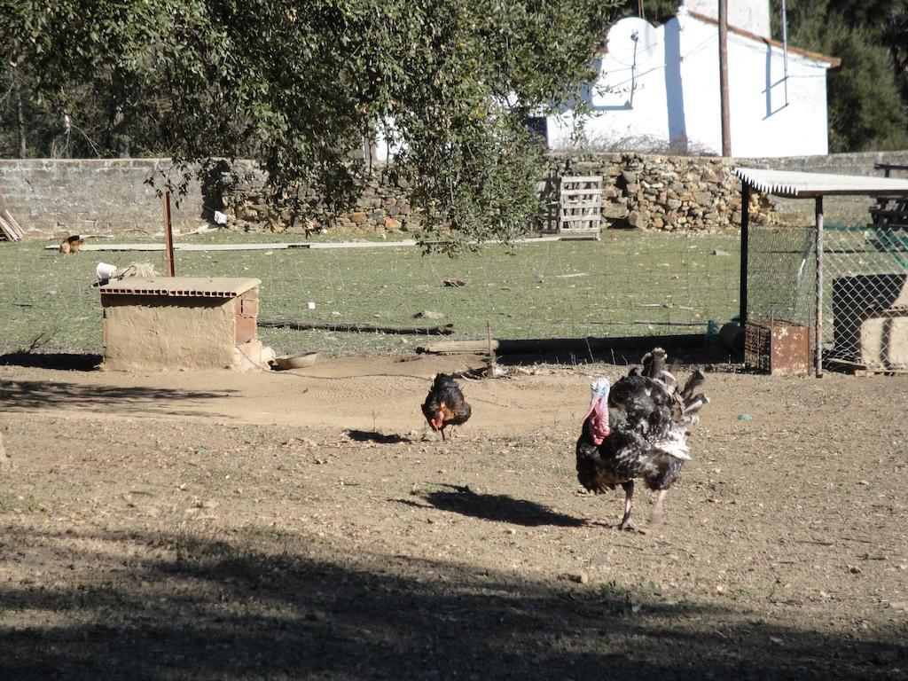 Casa Rural Sierra San Mamede La Codosera Esterno foto