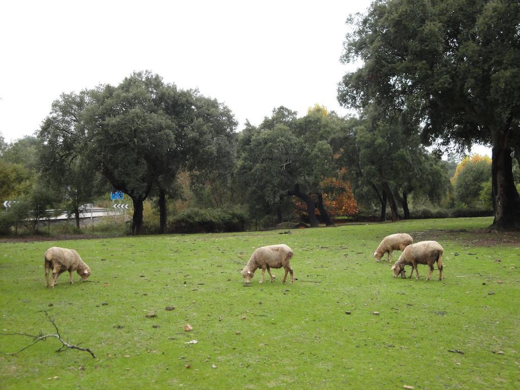 Casa Rural Sierra San Mamede La Codosera Esterno foto